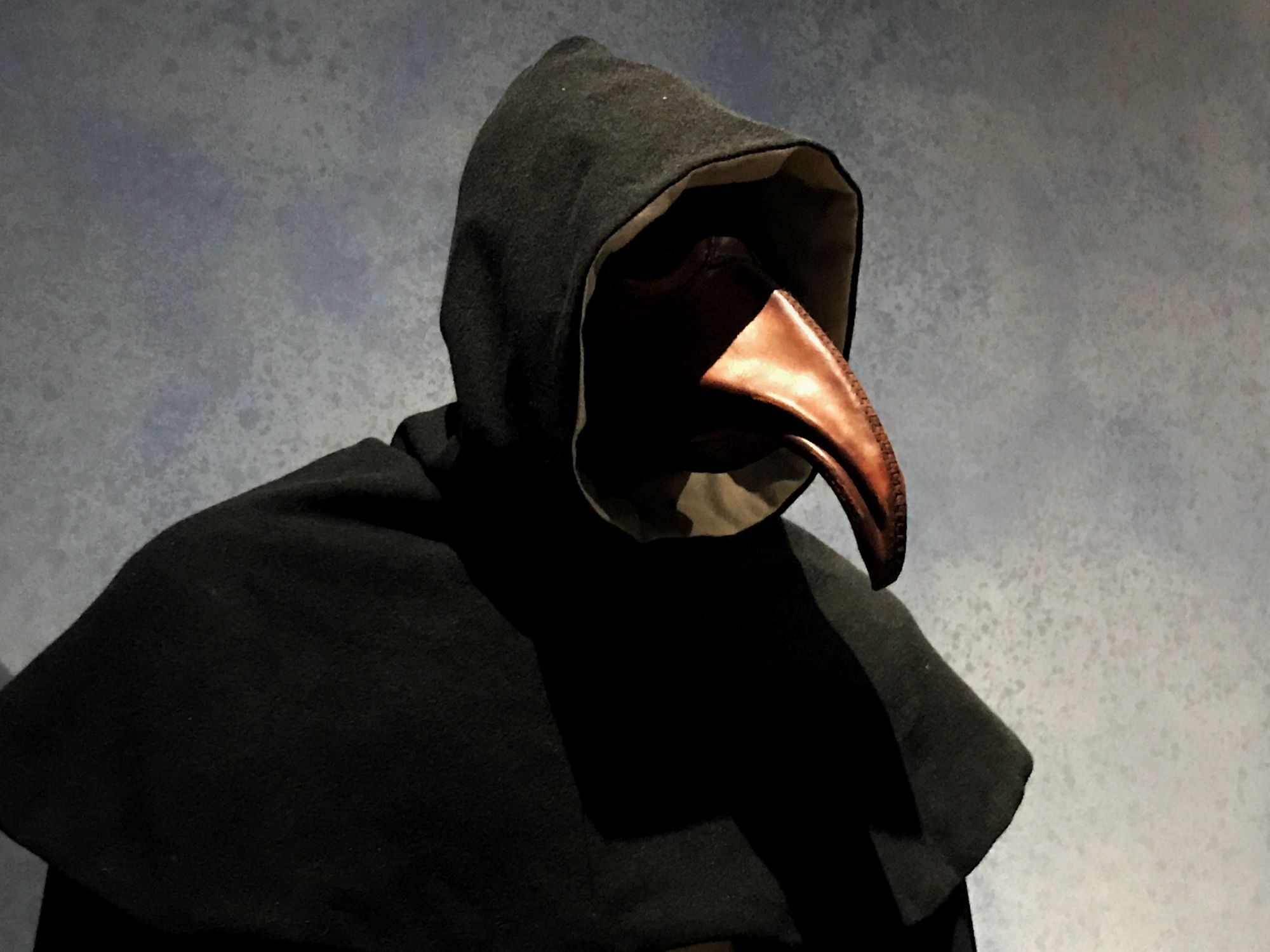 Nová vakcína proti moru je připravena pro klinické testy