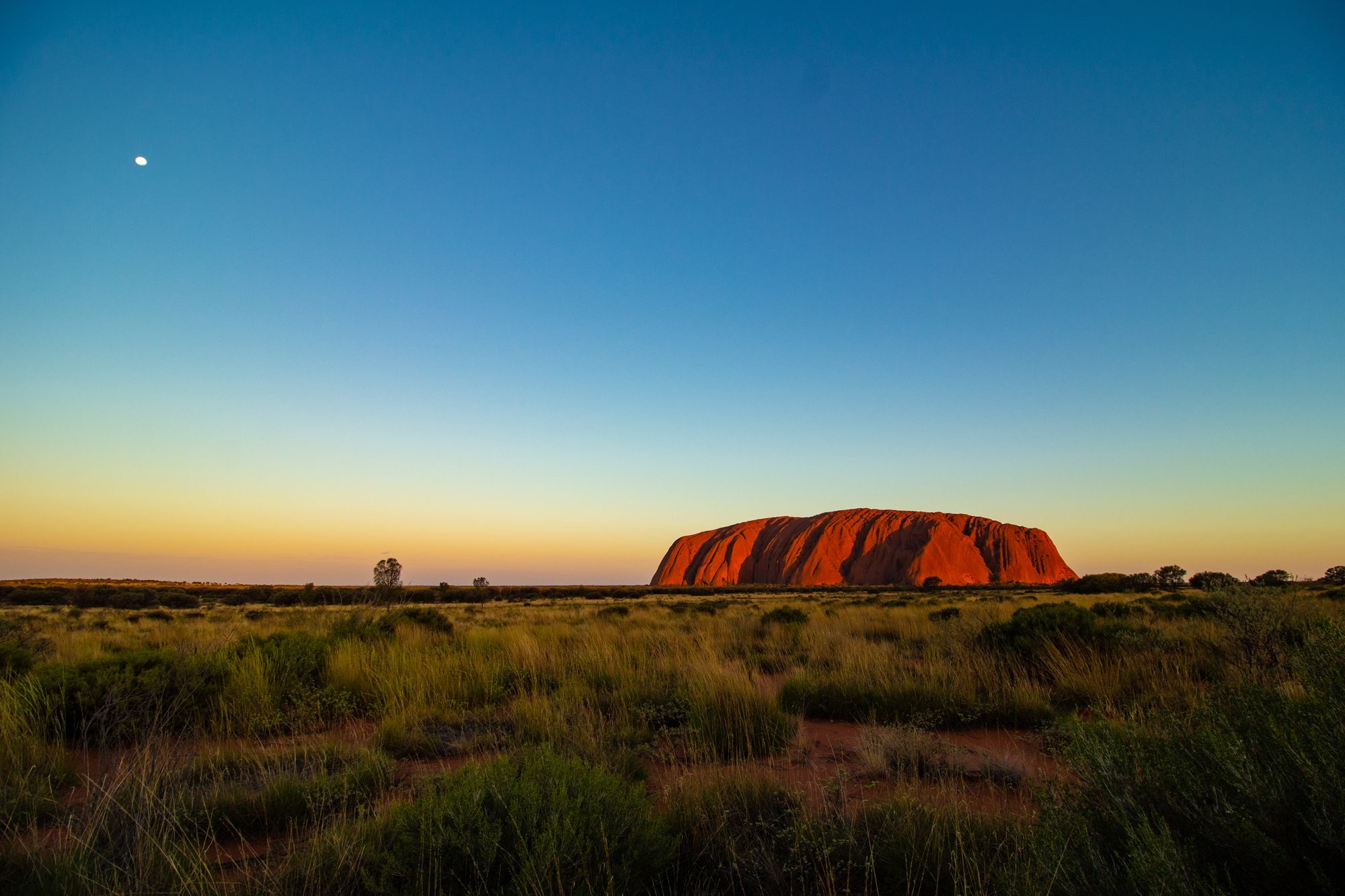 Klokánek králíkovitý je po téměř sto letech opět v Austrálii