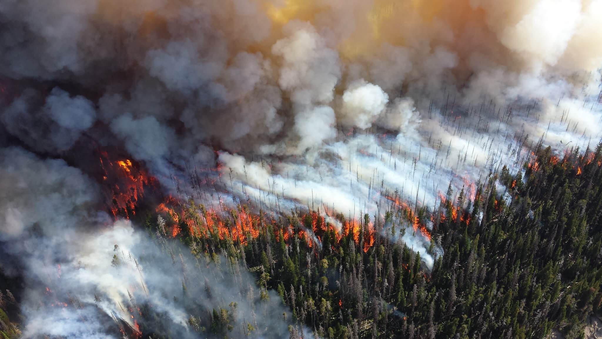 Náklady na dekarbonizaci budou nižší než škody způsobené změnou klimatu, říká Evropská centrální banka