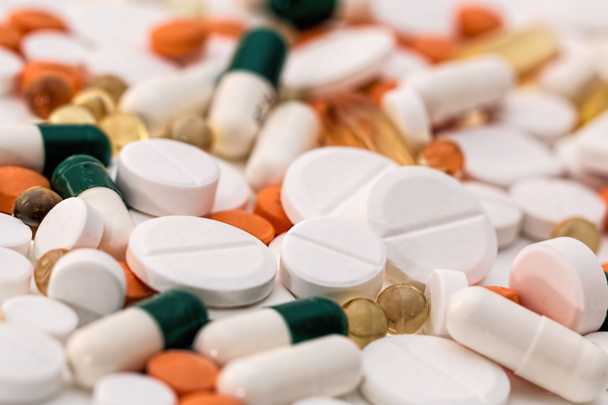 Zkoumání mikrobiomu divokých medvědů může pomoci v boji proti antibiotické rezistenci