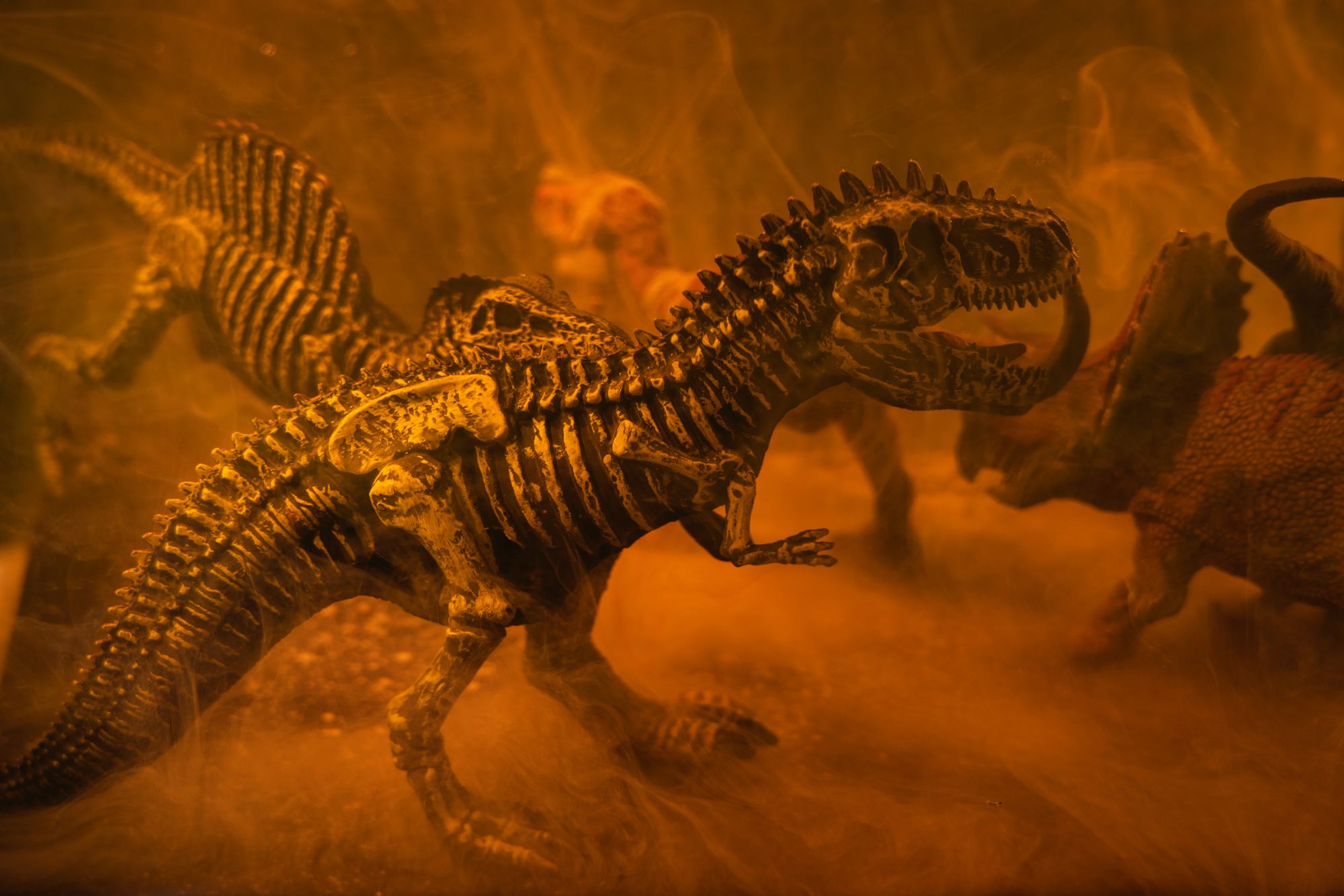 Kus jantaru se mšicemi paleontologové nalezli v čelisti dinosaura