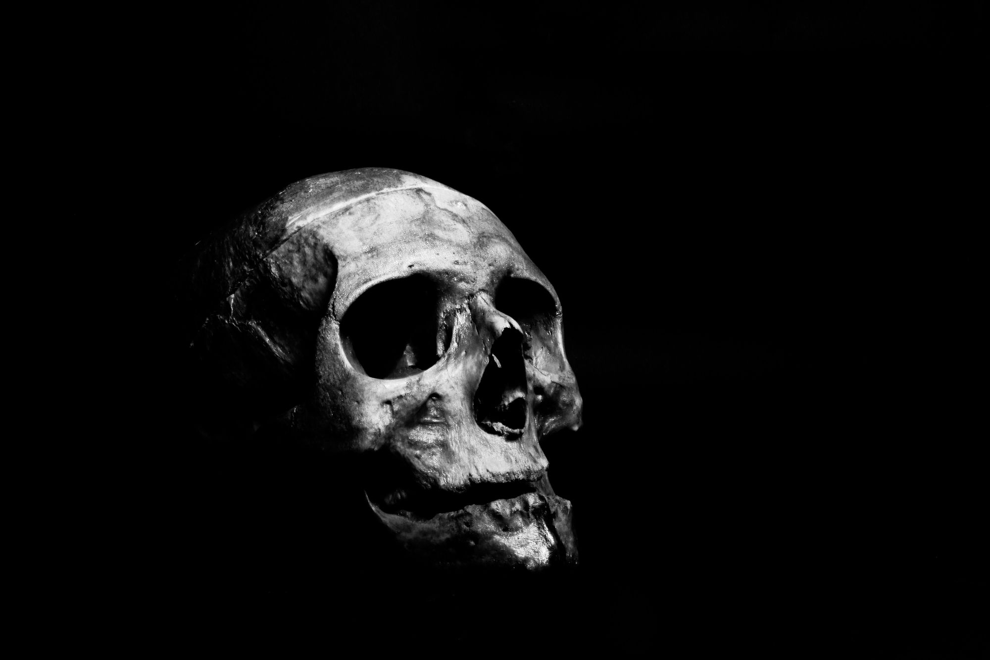 Lebka Grety je podvrh. Radiouhlíkové datování přineslo nové poznatky o nejstarší ženě Anglie