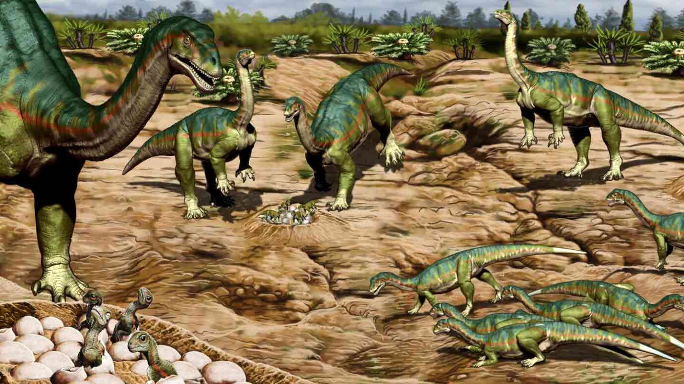 Nalezen možný nejstarší důkaz života dinosaurů ve stádech