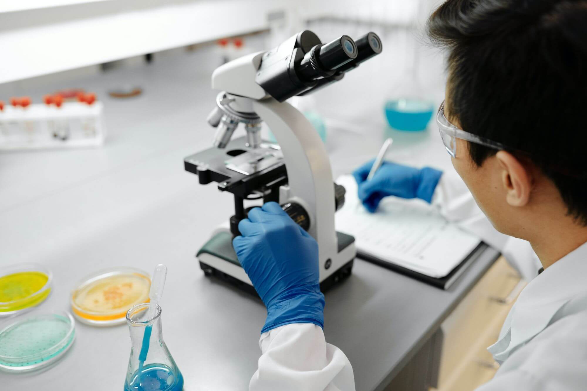 Laboratorně vypěstované minižaludky dokážou produkovat kyselinu