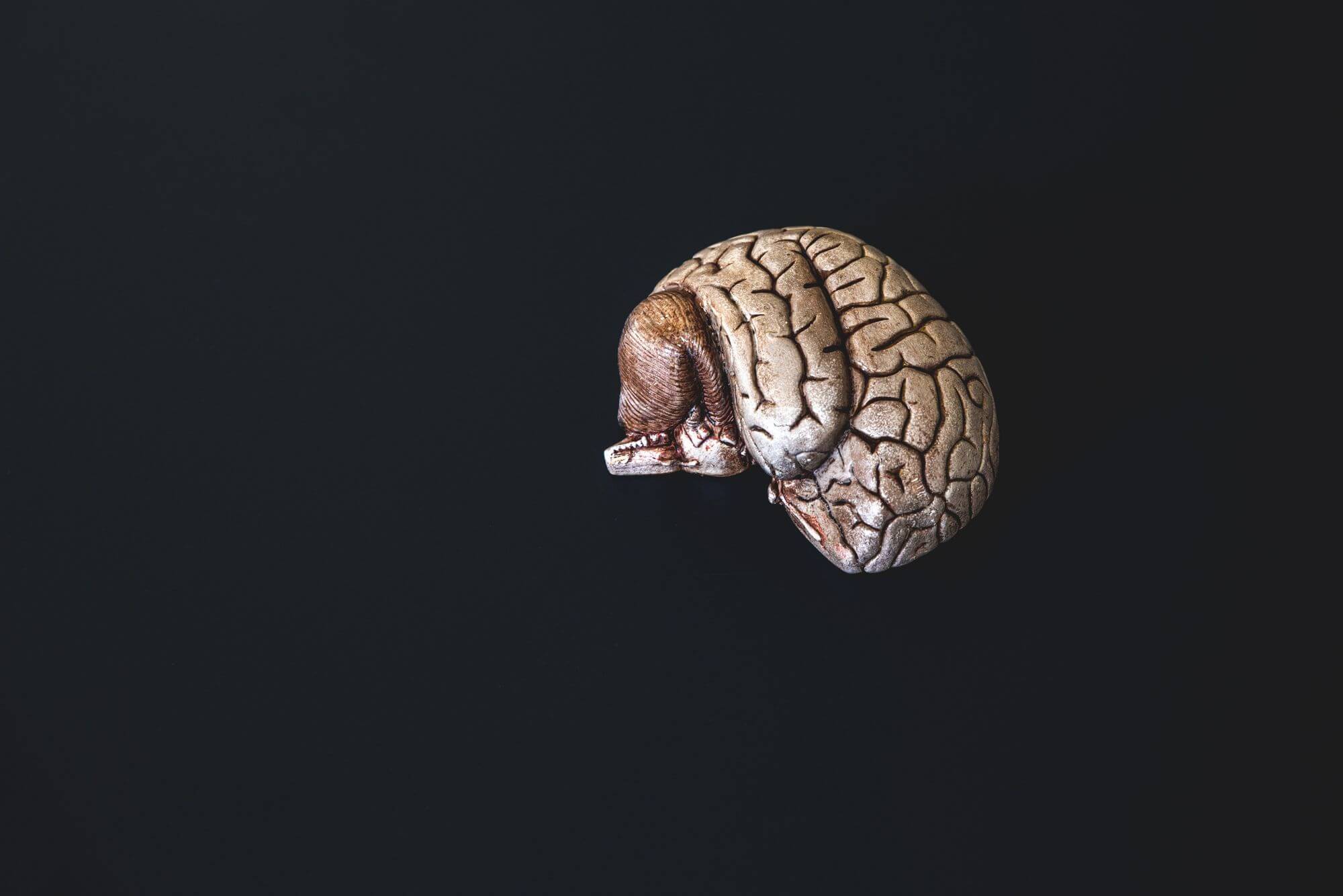 Synchronizace neuronů pomocí théta vln zlepšuje paměť