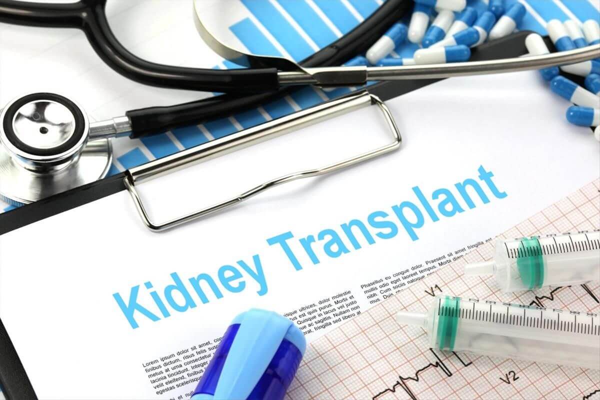 Vědcům se podařilo transplantovat ledvinu prasete člověku