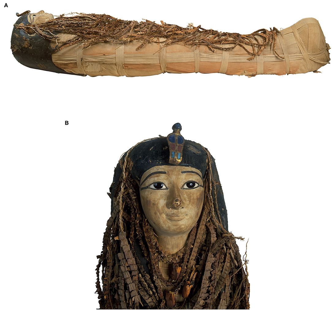 Jedna z posledních nedotčených egyptských mumií byla digitálně rozbalena