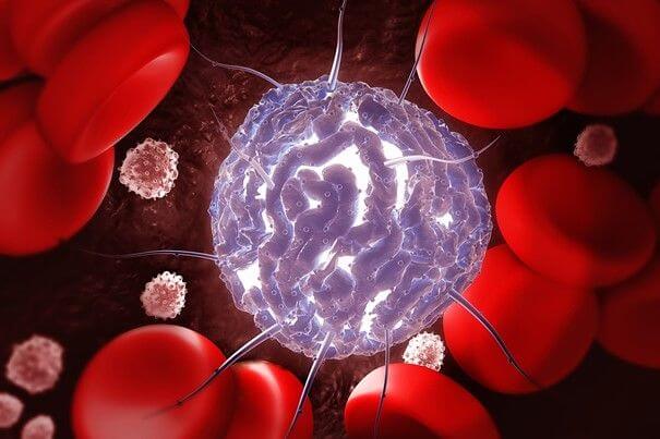 Významná role farmakologických inhibitorů PARP v léčbě rakoviny krve