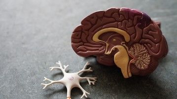 Poruchy myšlení a bolesti hlavy po překonání COVID-19