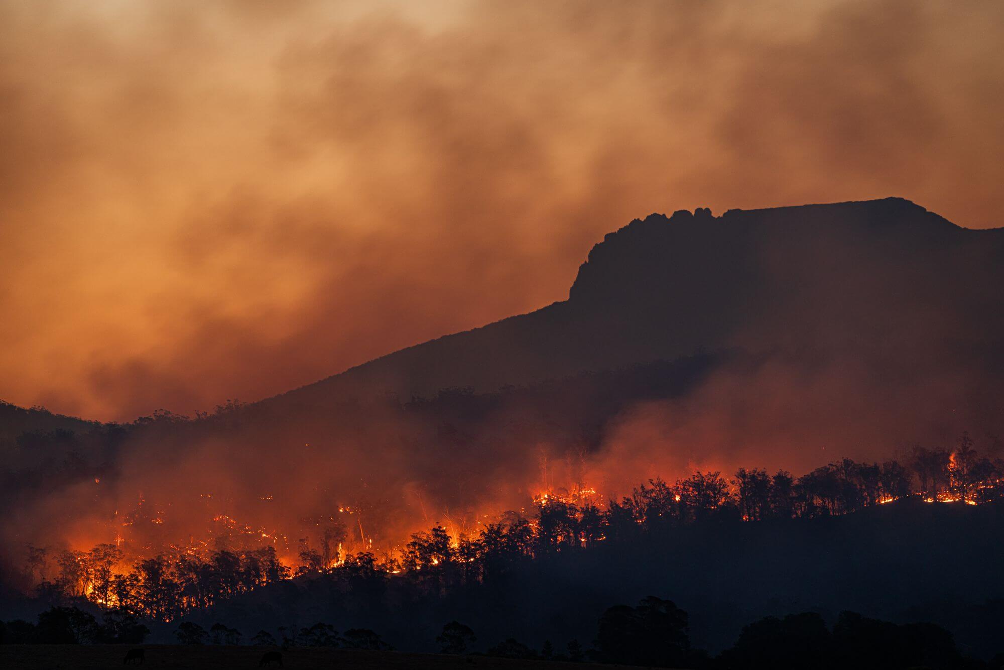 Australské požáry z let 2019 a 2020 narušily ozonovou vrstvu