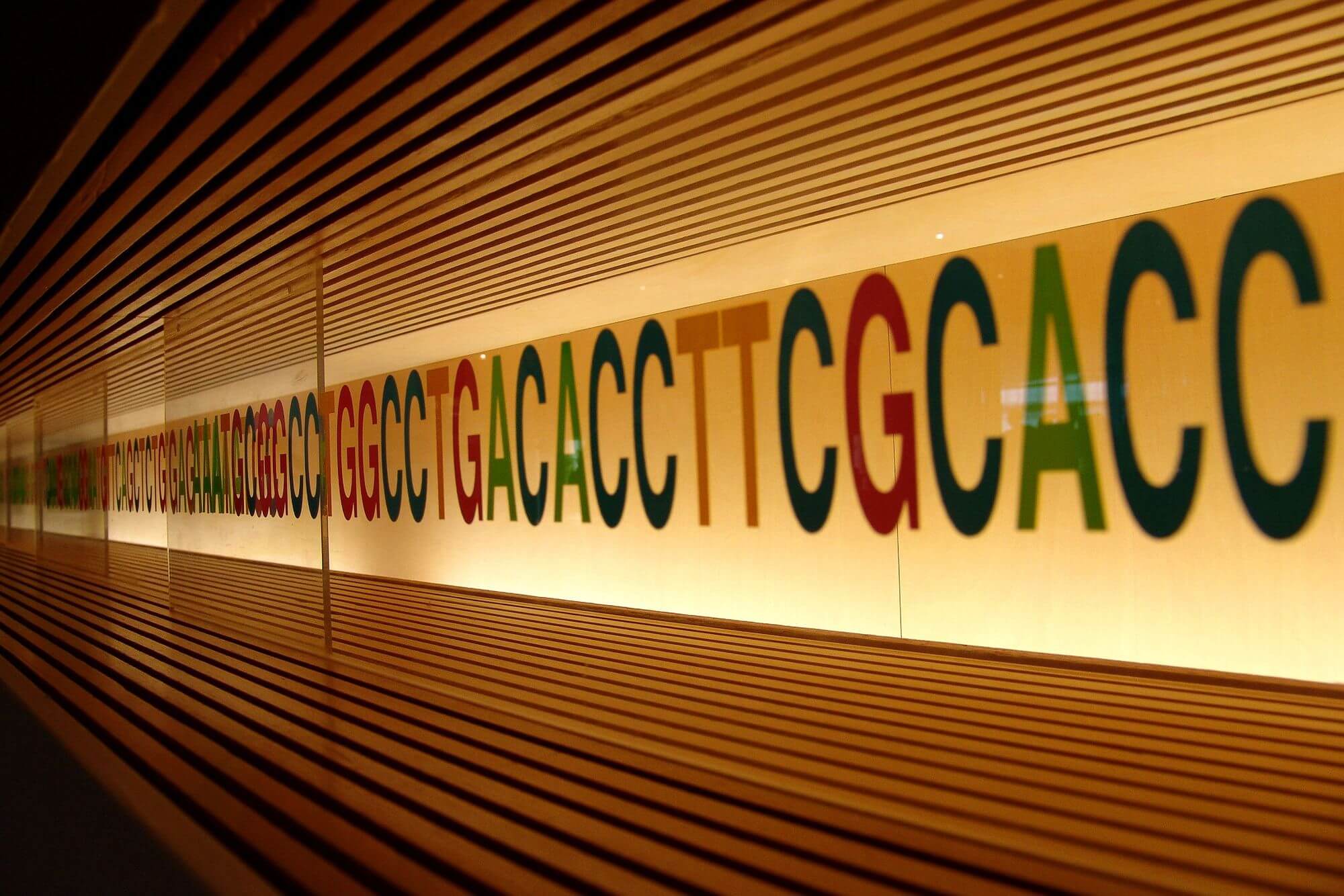 Další milník pokořen: Vědci přečetli celý lidský genom