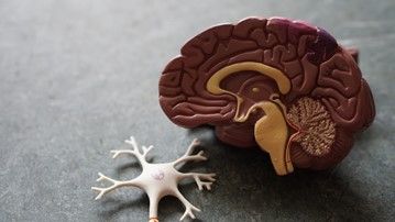 Jedna ze studií popisující vliv vitaminu D na covid-19 musela být stažena