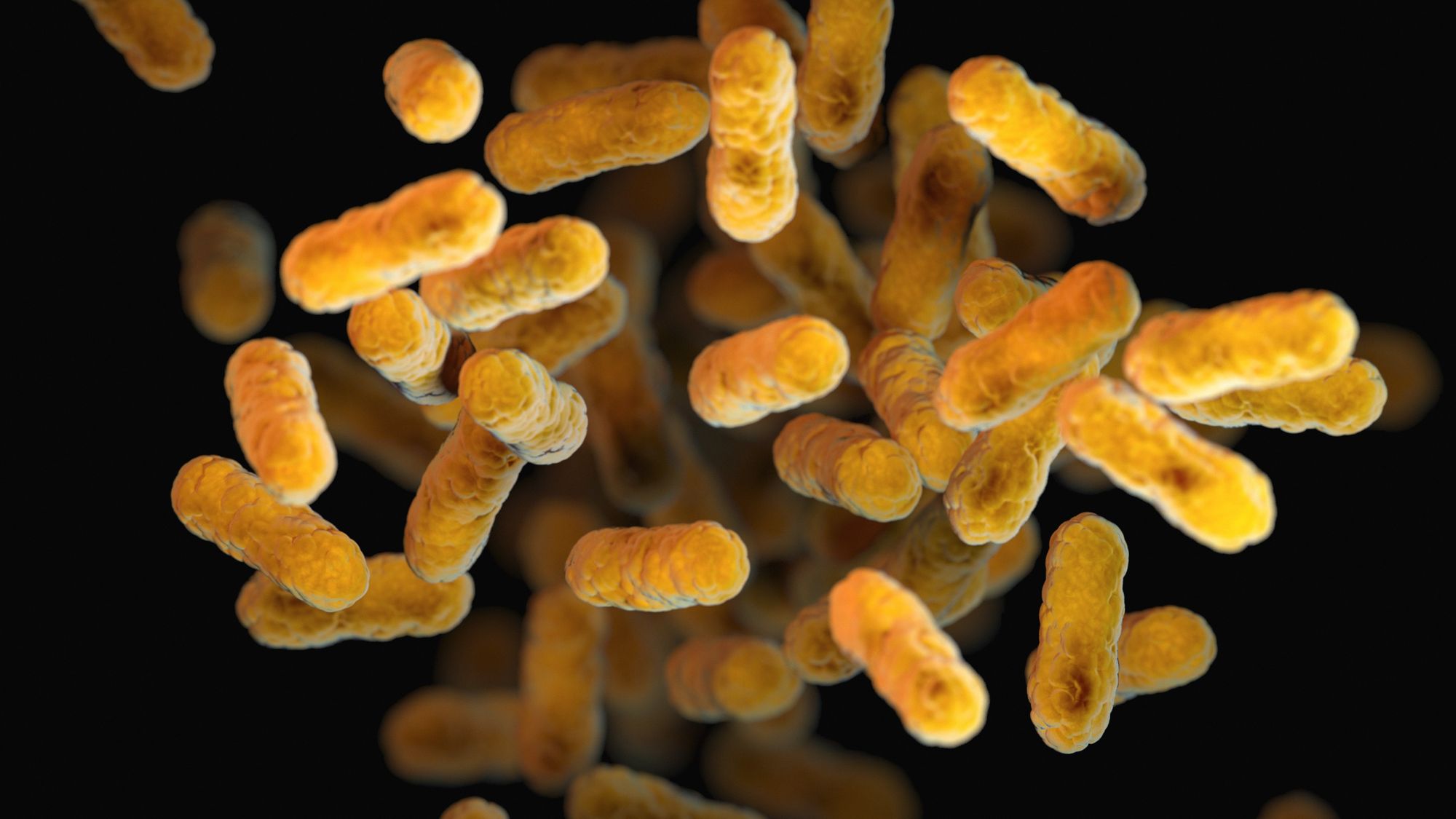 Na obávané bakteriální biofilmy by mohla platit elektřina